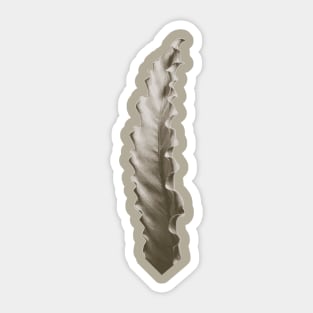 Lonely Brown Leaf Sticker